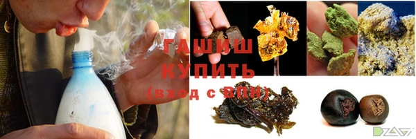 шишки Бородино