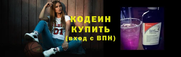 шишки Бородино