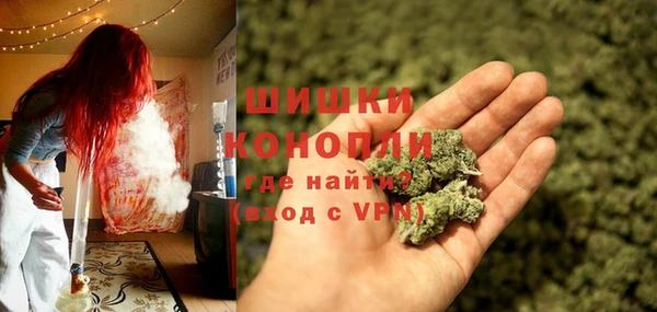 шишки Бородино