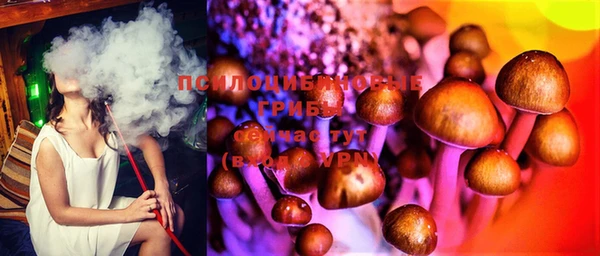 бошки Бугульма