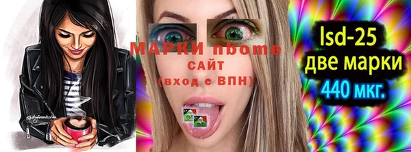 шишки Бородино