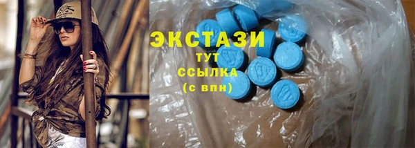 шишки Бородино
