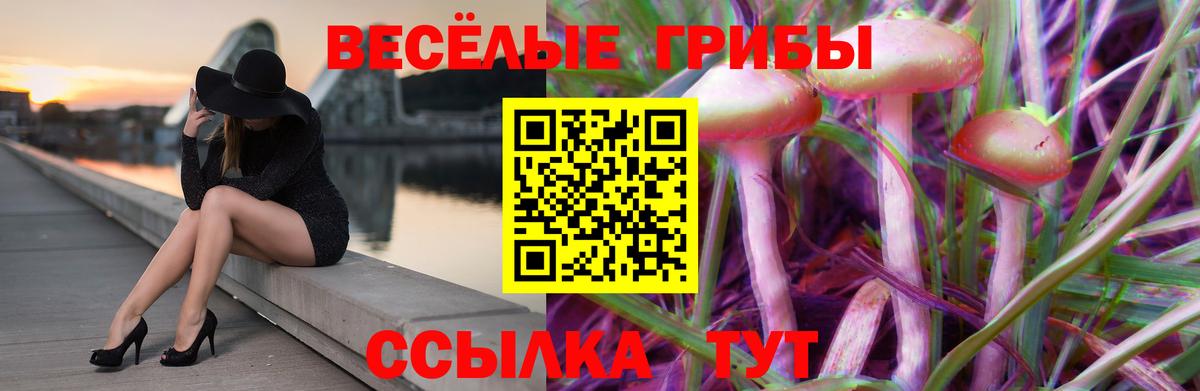 Галлюциногенные грибы MAGIC MUSHROOMS Бутурлиновка