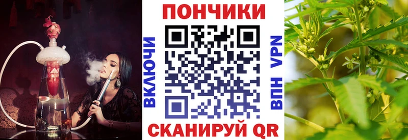 Бошки марихуана марихуана дарнет шоп Бутурлиновка